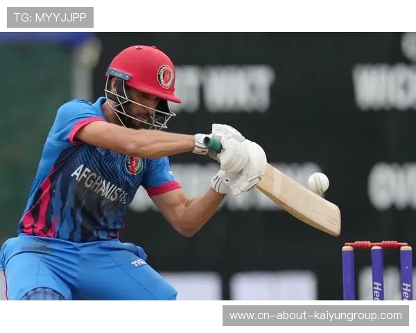 澳大利亚板球联赛精彩纷呈,各队激烈角逐,板球 澳大利亚 澳大利亚板球联赛精彩纷呈,各队激烈角逐,板球 澳大利亚